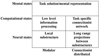 Reorganization of the Connectivity between Elementary Functions – A Model Relating Conscious States to Neural Connections